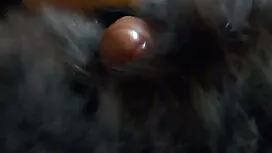 Tây Ban Nha dì Miệng ...