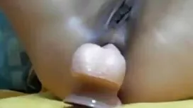 Con gà trống bú kẹo  ...