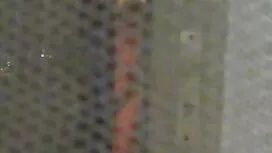 Da đen cô bé từ vide ...