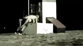 Ali. Con mèo. HÀNG Đ ...